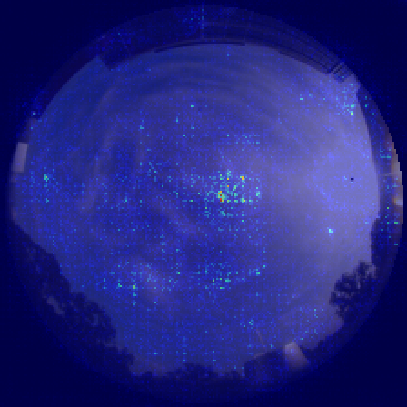Effective receptive field visualization for ConvNeXt Tiny.
