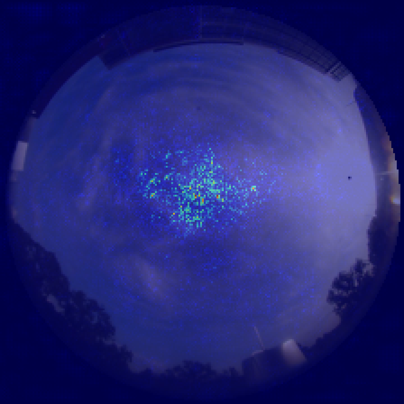 Effective receptive field visualization for MambaVision T2.