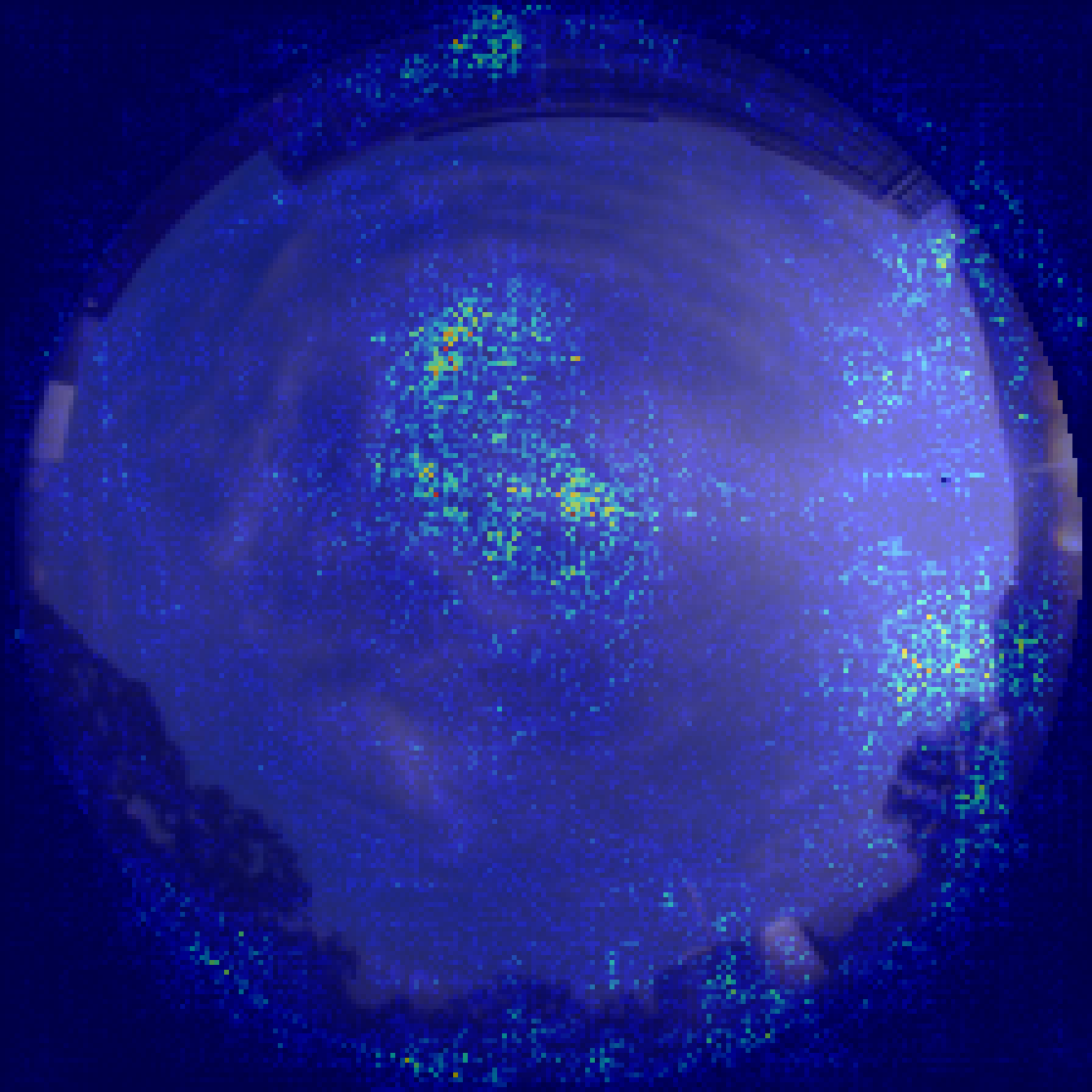 Effective receptive field visualization for VMamba Small.